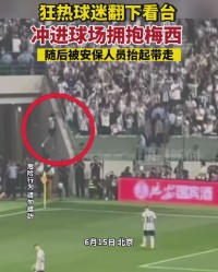  球迷冲突导致比赛中断，法甲安保再遭质疑  